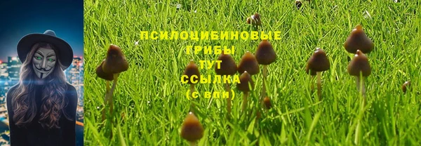 Альфа ПВП Абдулино