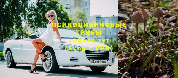 трава Абаза