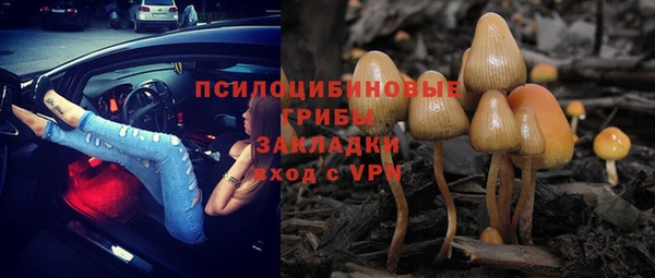 трава Абаза