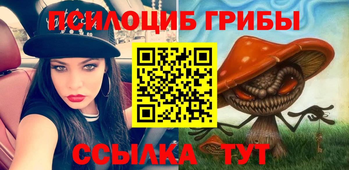Галлюциногенные грибы Psilocybe  Псилоцибиновые грибы ЛСД  Вход с VPN  Кумертау 