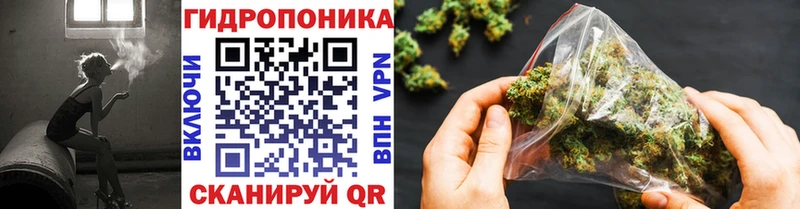 Конопля OG Kush  Кумертау 